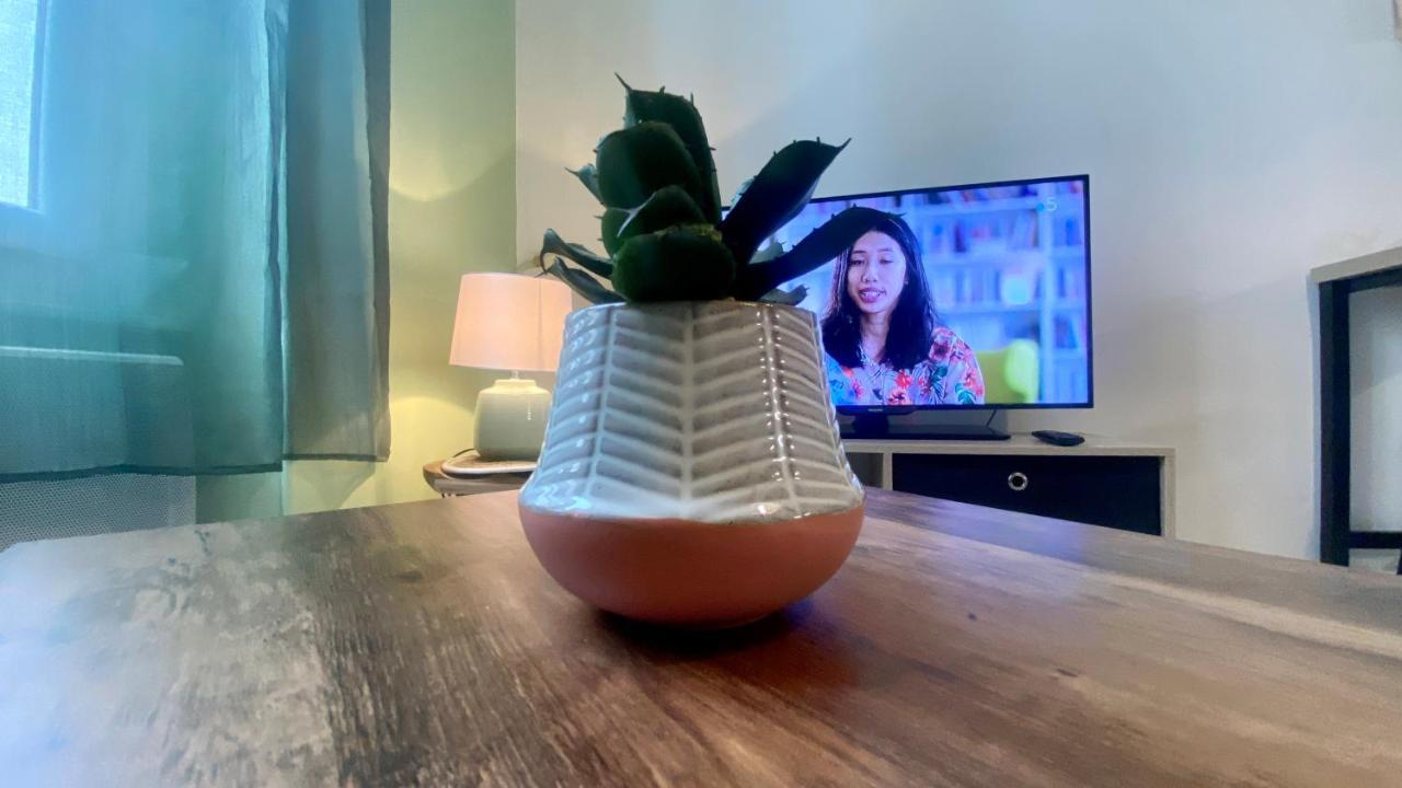 Appartement 30M2 - 400 Metres Cite Mediavale 카르카손 외부 사진